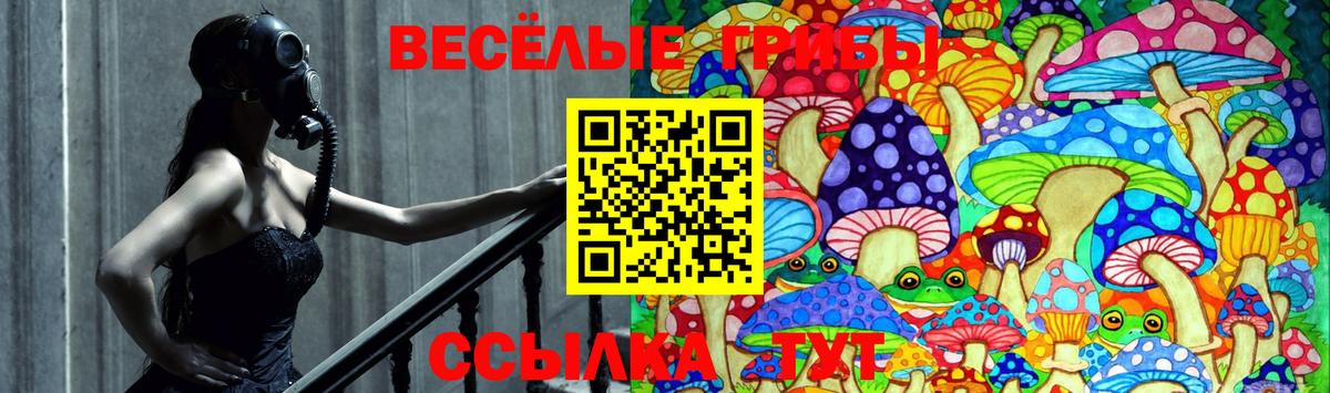 Галлюциногенные грибы мицелий Махачкала
